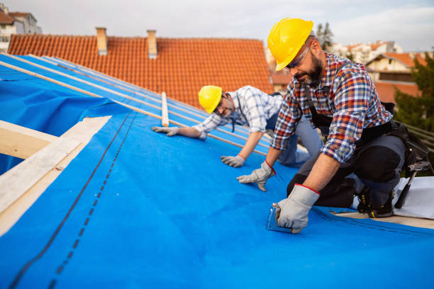 Best Gutter Installation and Roofing  in Dutch Island, GA