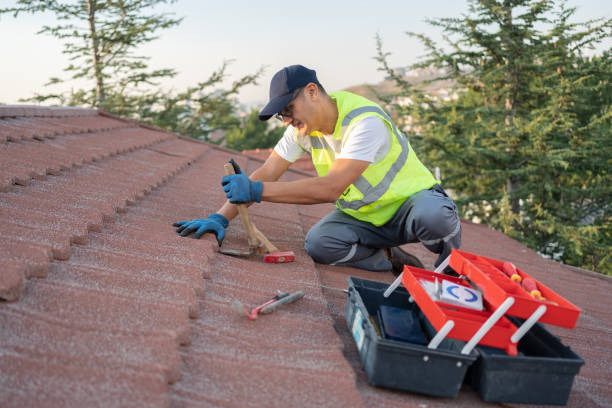 Best Roof Repair Services  in Dutch Island, GA