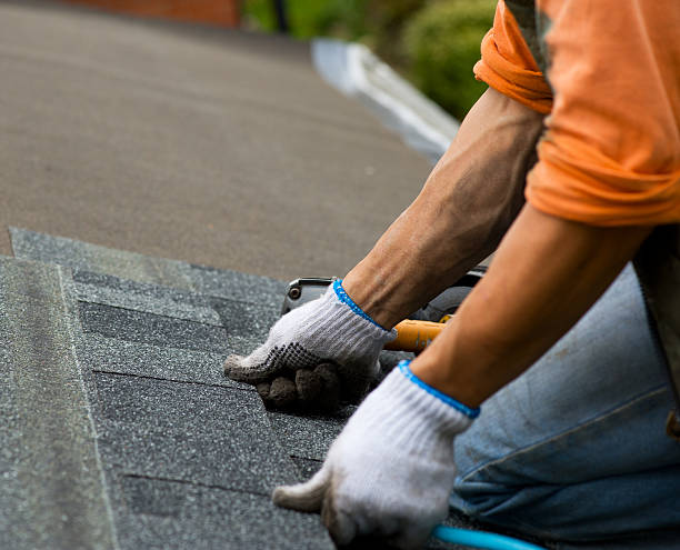 Best Roof Gutter Cleaning  in Dutch Island, GA